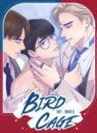 bird-cage-yaoi.jpg