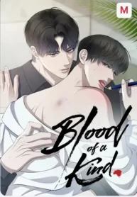 blood-of-a-kind-zinchang.jpg